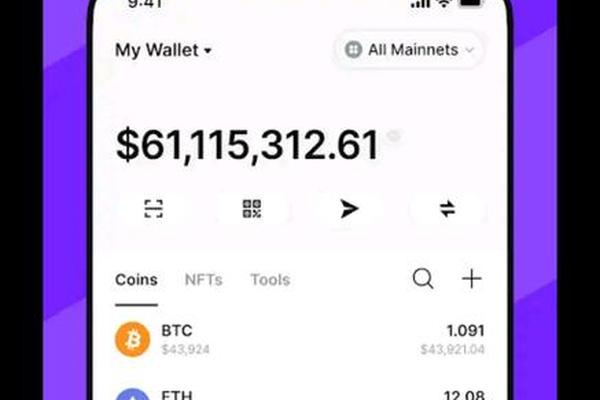 TP钱包里的flux