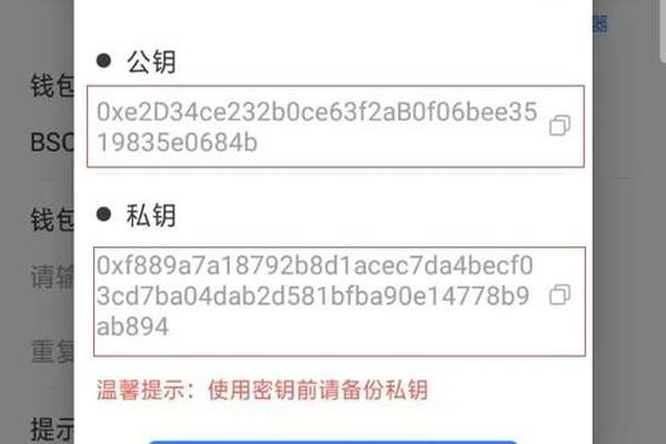 tokenpocket添加自定义网络