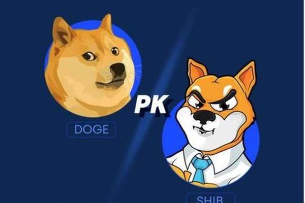 tp钱包提狗狗币