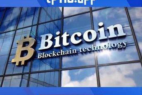 tp钱包用什么链