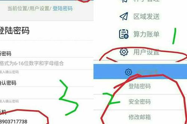 tp钱包怎么查看交易