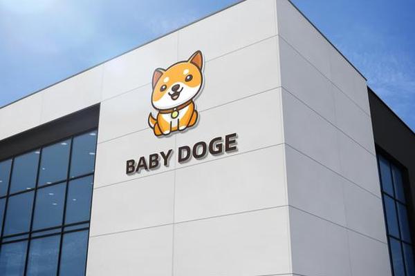 babydoge提到tp钱包