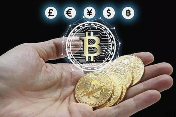 tokenpocket什么钱包