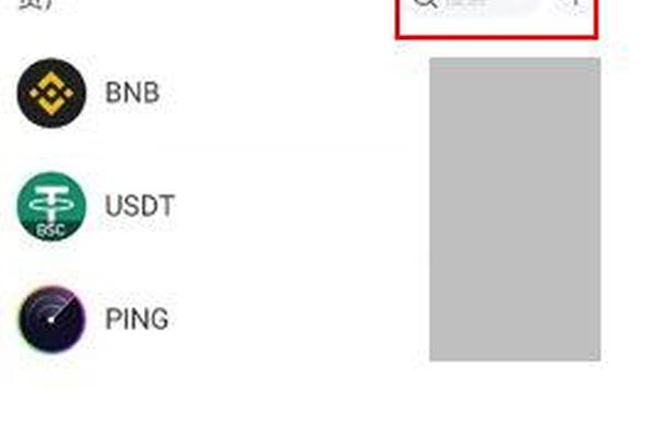 tokenpocket导入bsc