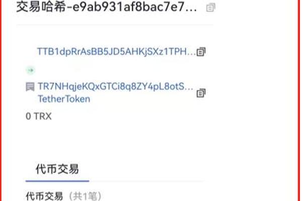 TP钱包里PI币