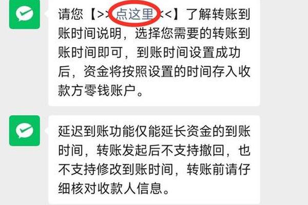 tp钱包怎么延迟转账