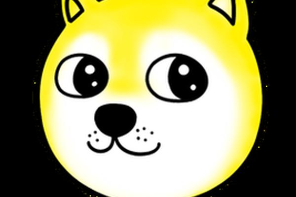 tp钱包 dogecoin