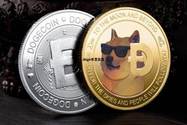 doge币tp钱包