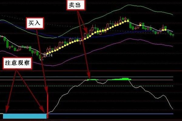 tp钱包看涨跌