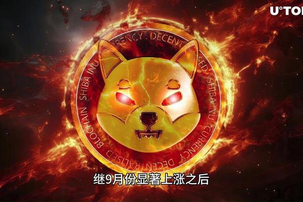 doge币提到tp钱包