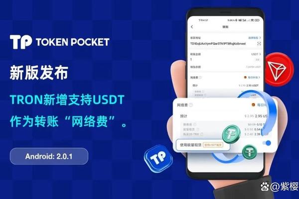 tokenpocket收不到币