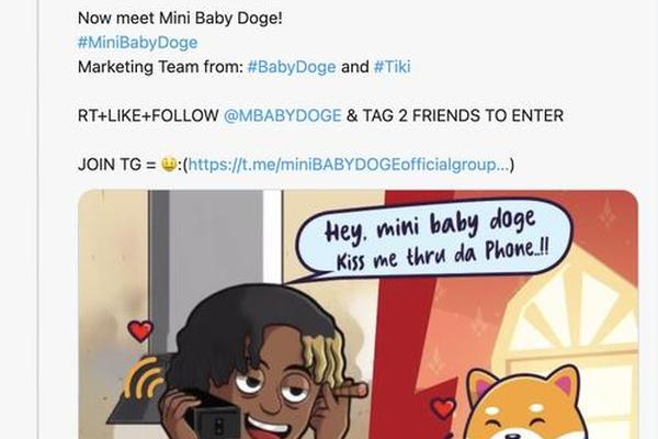 tp钱包babydoge合约地址