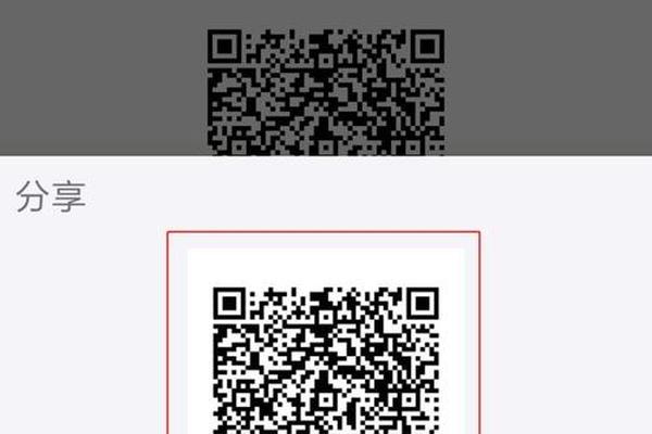 第305页