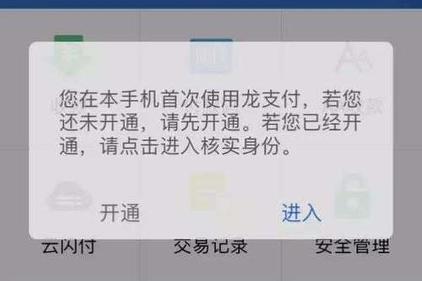 2025年1月1日 第8页