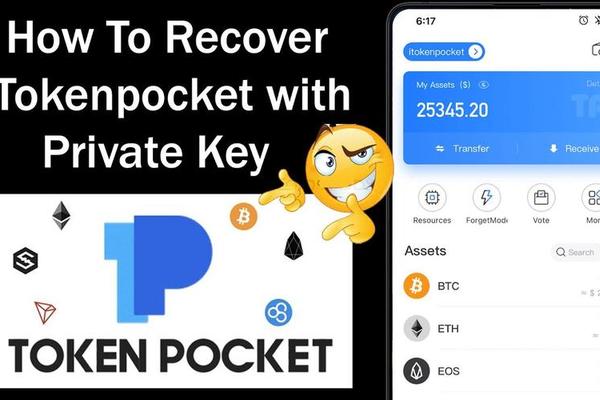 tokenpocket钱包英文版
