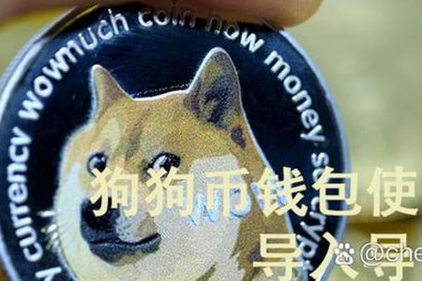 狗狗币tp钱包
