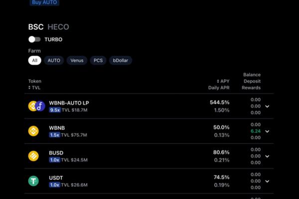 tokenpocket币安智能链